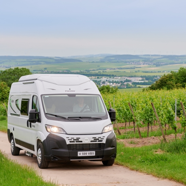 FV 599 CB VANTASY